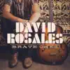 David Rosales - Brave Ones